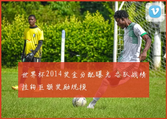 世界杯2014奖金分配曝光 各队战绩挂钩巨额奖励规模