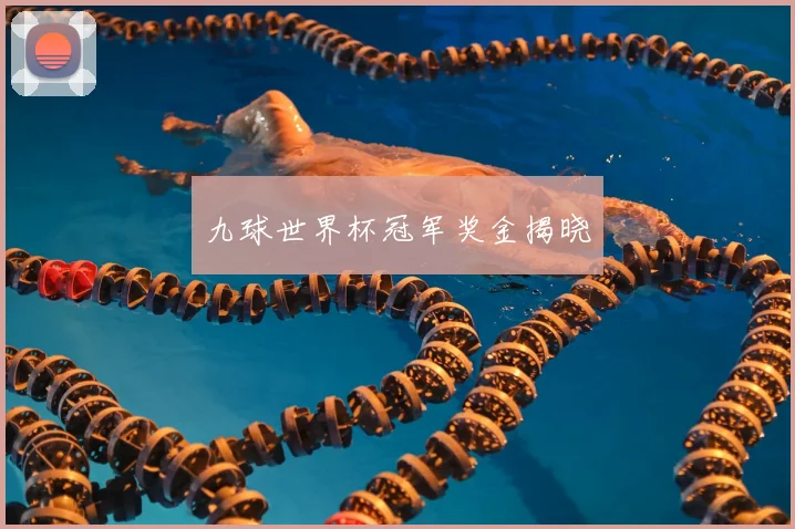 九球世界杯冠军奖金揭晓