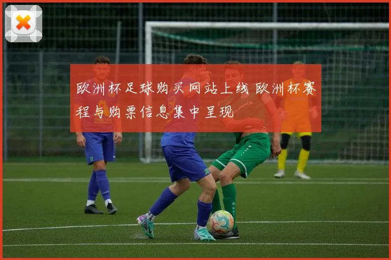 欧洲杯足球购买网站上线 欧洲杯赛程与购票信息集中呈现